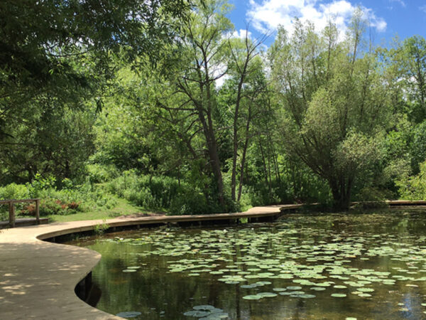 The boardwalk at Mystery Lake at Schlitz Audubon Nature Center in Milwaukee.
